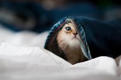 开云体育中国-双线战场，当篮网关键战遇见奥运倒计时，杜兰特如何定义接管