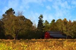 开云体育登录-塔图姆实力证言，马刺对阵上海队中的巨星光芒