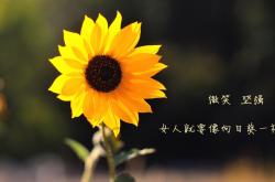 开云体育APP下载-钢铁蜂群锁浙江，文班亚马一柱擎天破重围