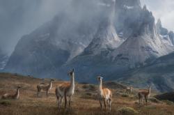 开云平台-帕尔默一剑封喉！皇马末节发力击溃韩国劲旅