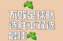 开云体育APP下载-球队的团队合作精神让他们在比赛中取得了连胜的简单介绍