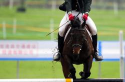 开云体育-关于大洋洲足球职业联赛中球员竞技水平提高的信息