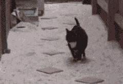 开云体育下载-凯塞多一战封神！苏格兰铁血军团奇迹淘汰多特蒙德，欧冠格局被改写