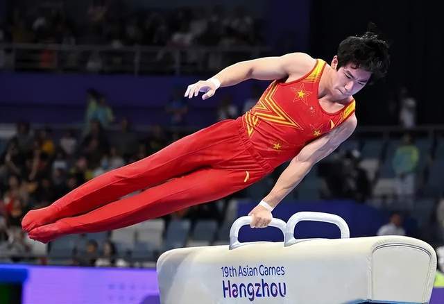 关于中国体操名将再创佳绩，夺得队史第N枚金牌的信息