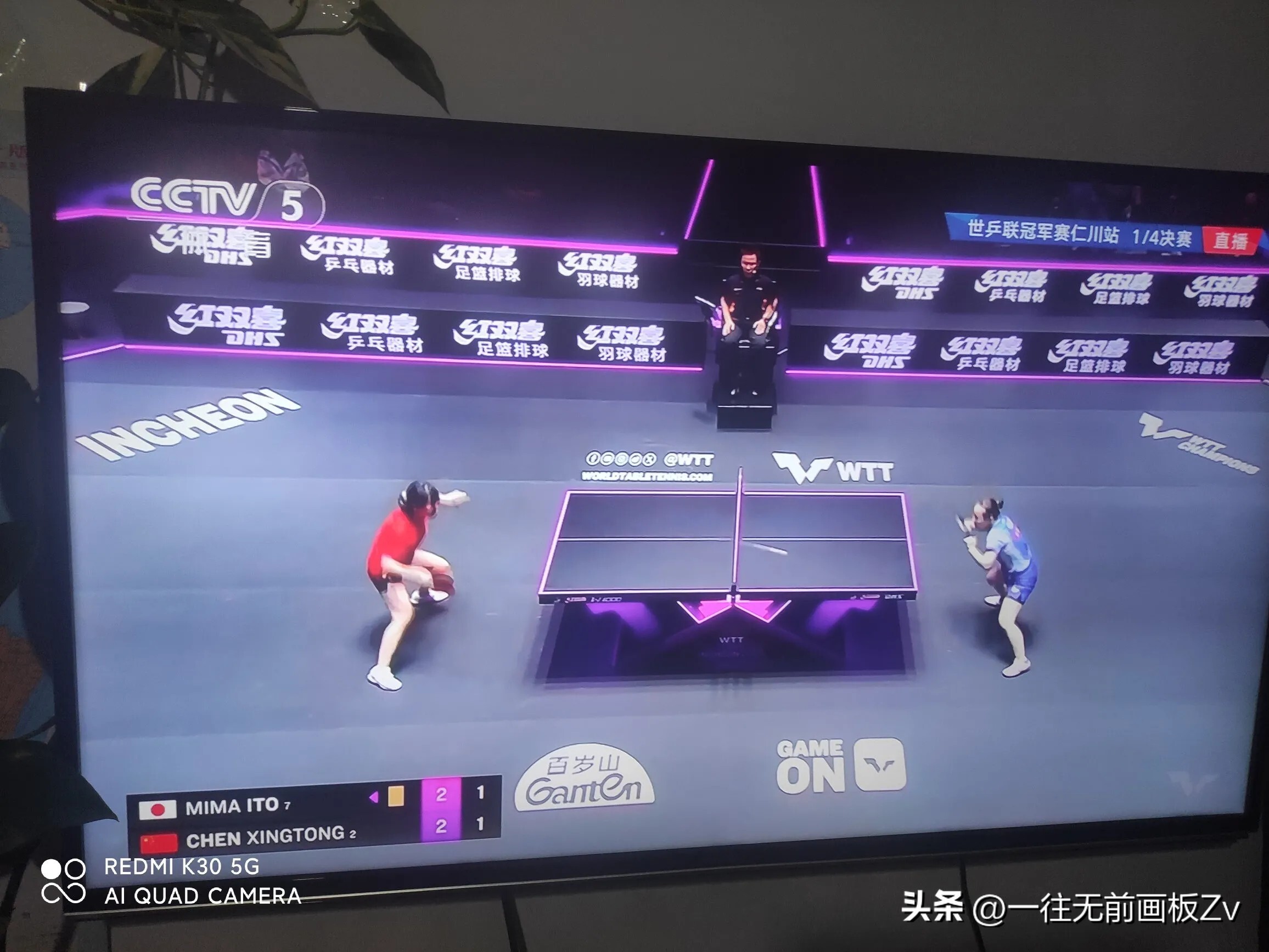 中国击败法国晋级乒乓球四强