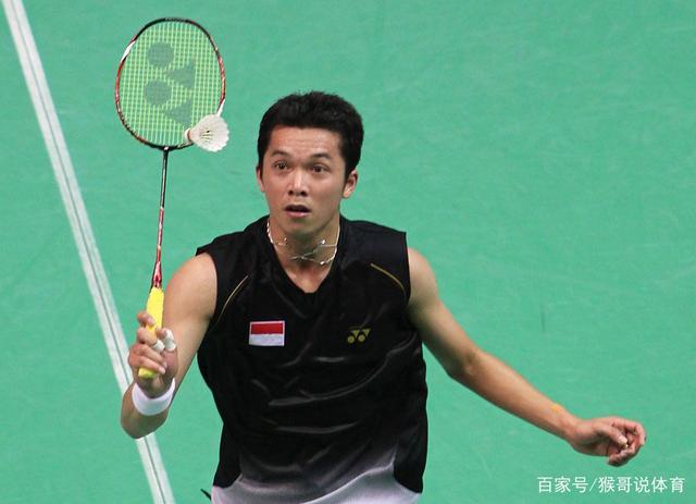 关于韩国羽毛球队绝杀日本羽毛球队，陶菲克惊艳世界的信息