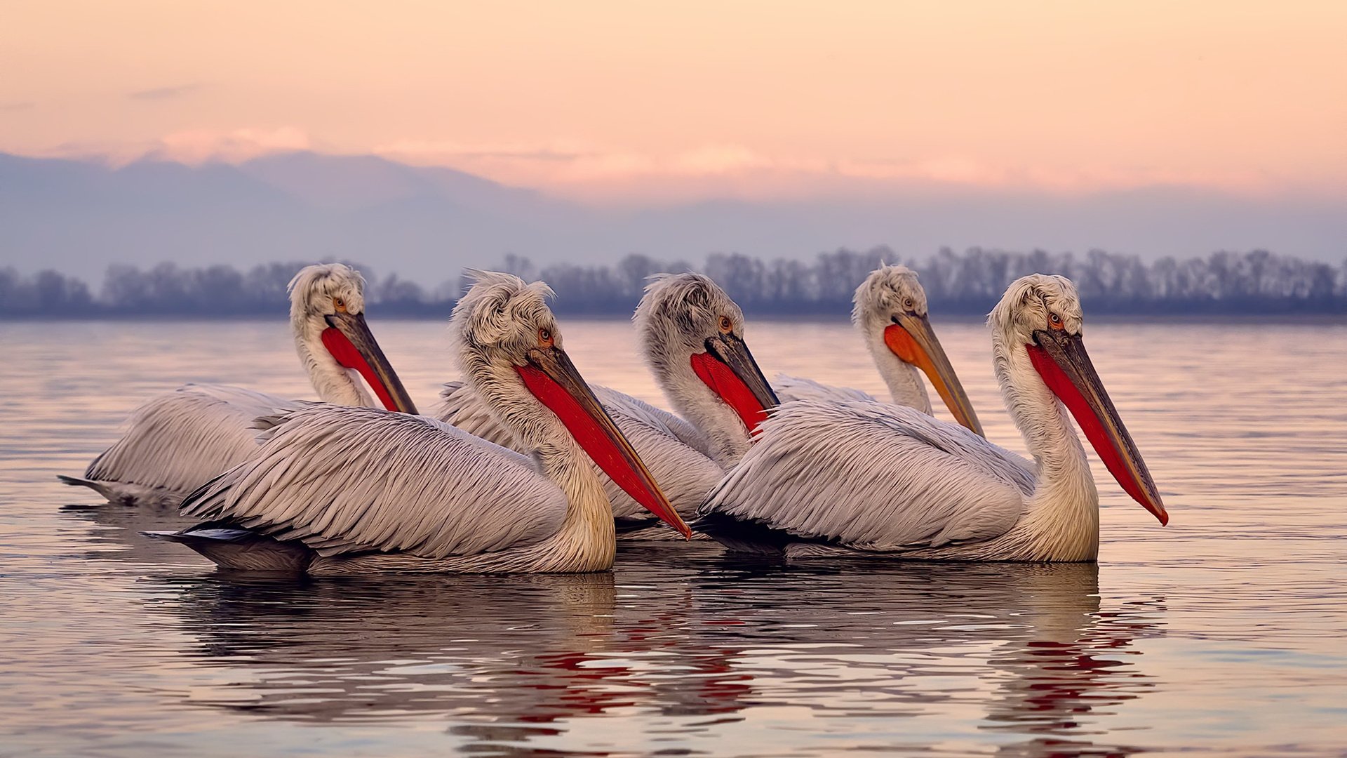 哈登防守端锁死对手,森林狼横扫爵士,防守制胜的时代交响
