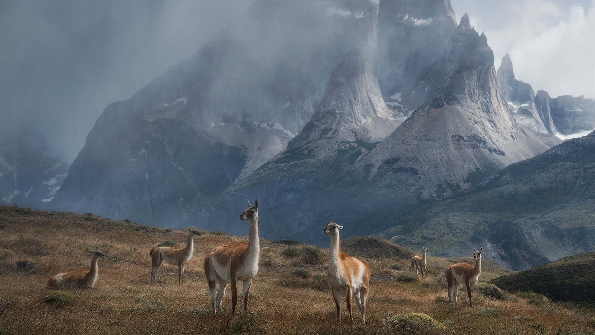 帕尔默一剑封喉！皇马末节发力击溃韩国劲旅
