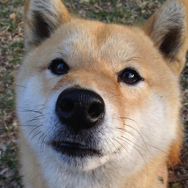 绿茵场上的历史重演,法国封锁挪威与内马尔的持续杀伤