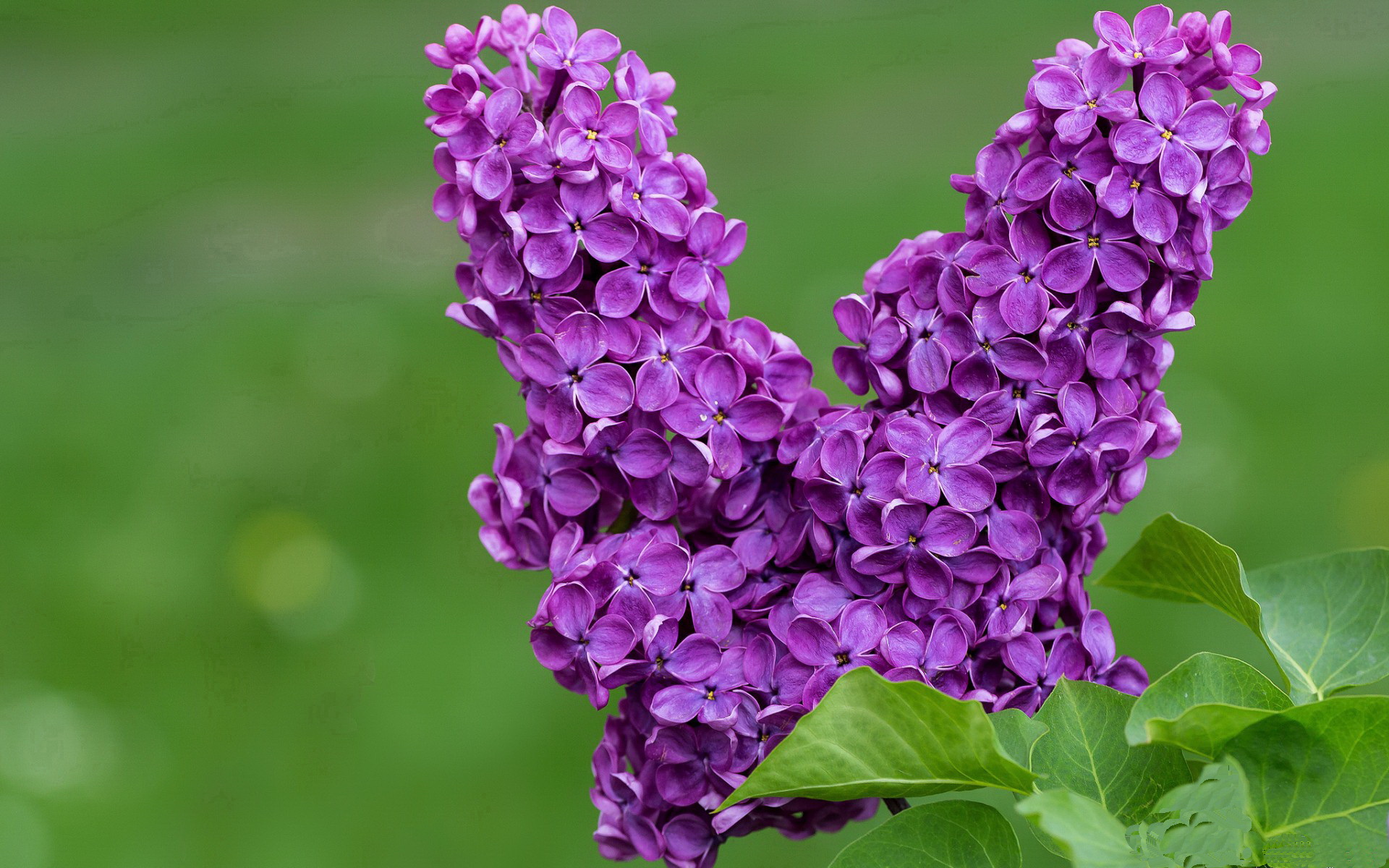 燃魂之战，米切尔点燃赛场，步行者生死战取胜魔术