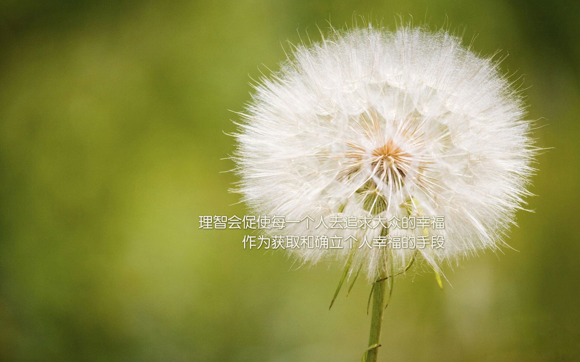 燃魂之战，米切尔点燃赛场，步行者生死战取胜魔术