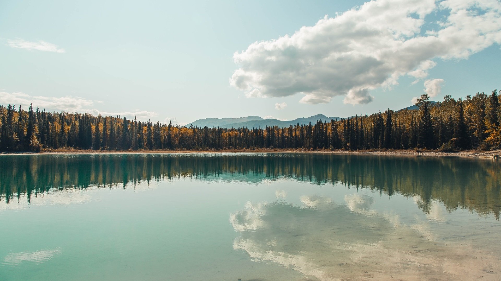 非洲旋风与亚洲利刃，红牛内外的征服者与自我证明之战