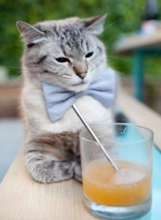 布克状态火热狂砍45分,辽宁队主场狂胜尼克斯创纪录